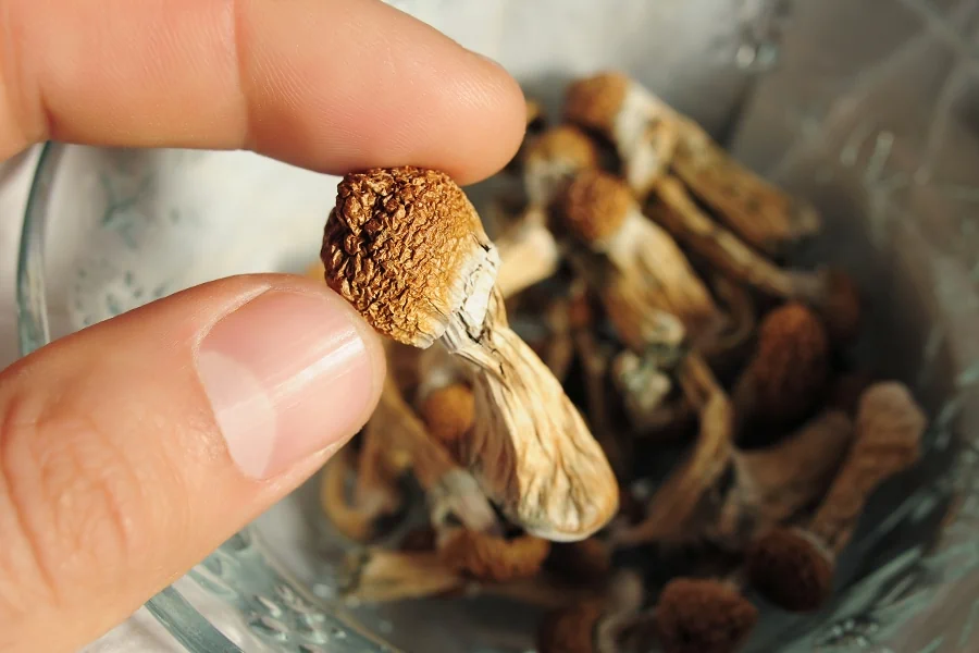is-it-safe-to-buy-shrooms-online